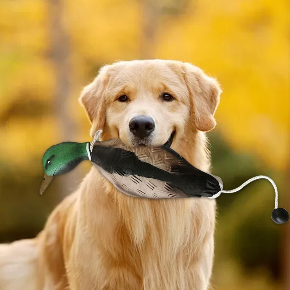 Имитация утки-крячки для дресс – обзор и цена Decoy Duck Plastic