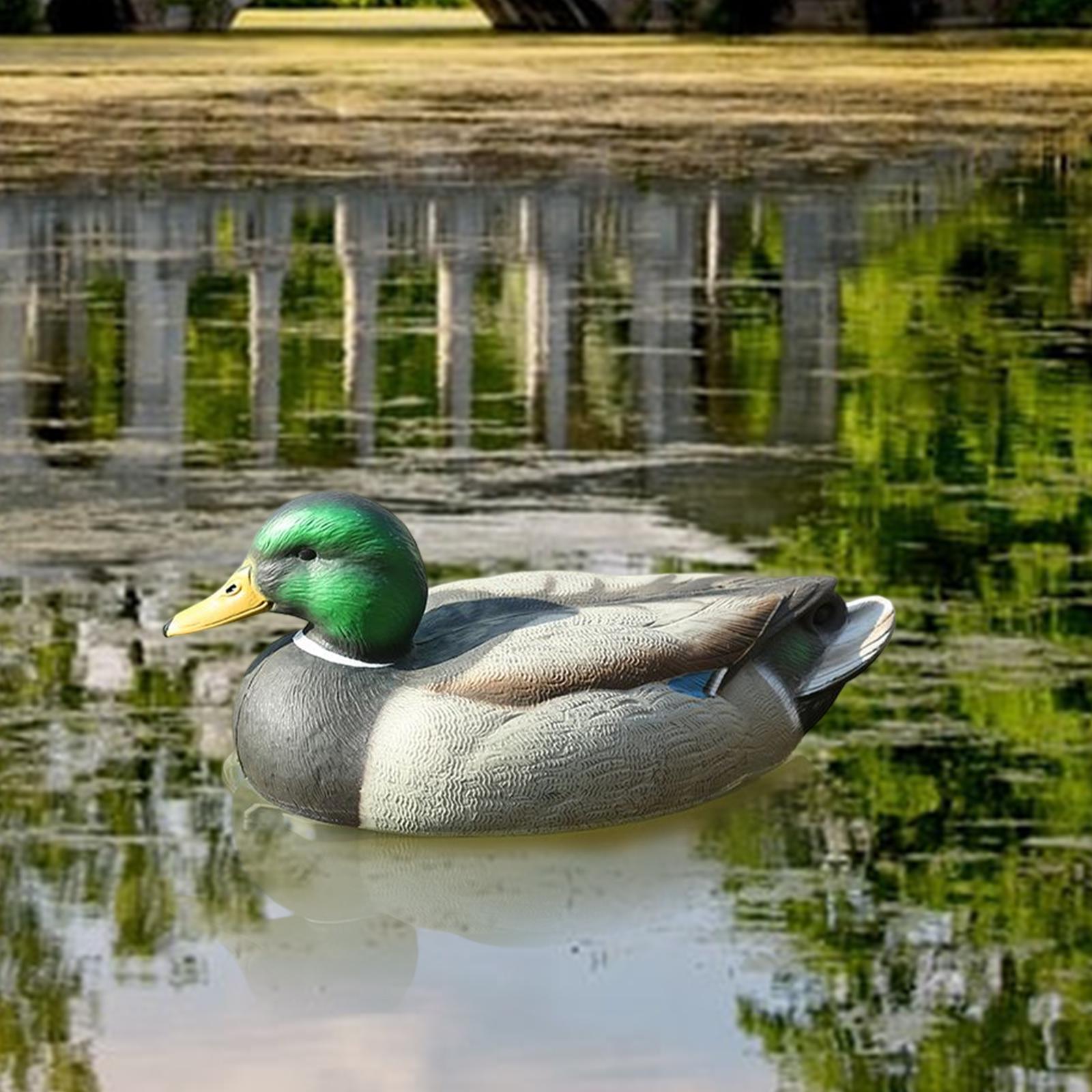 Анатомически точная пластикова – обзор и цена Decoy Duck Plastic