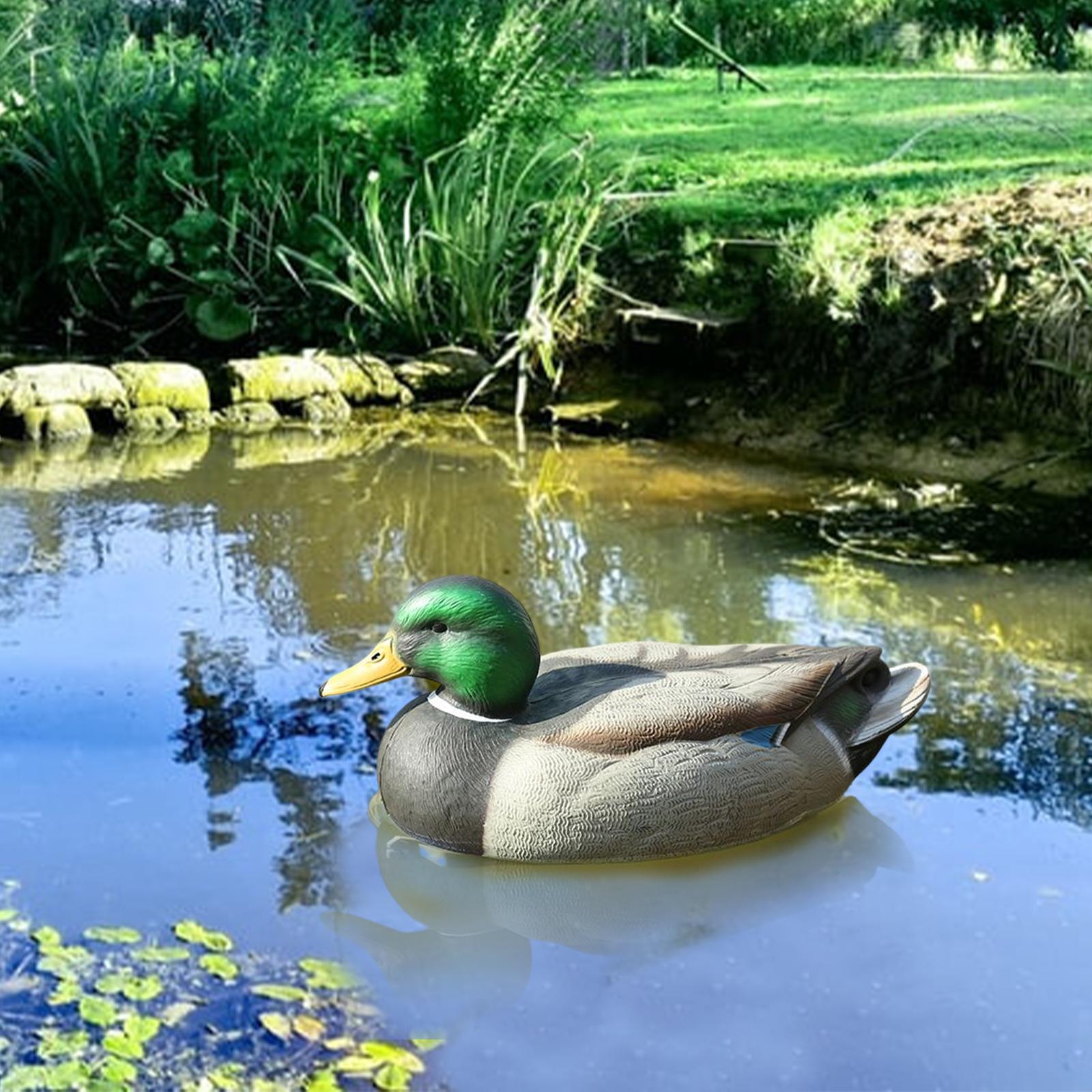 Анатомически точная пластикова – обзор и цена Decoy Duck Plastic