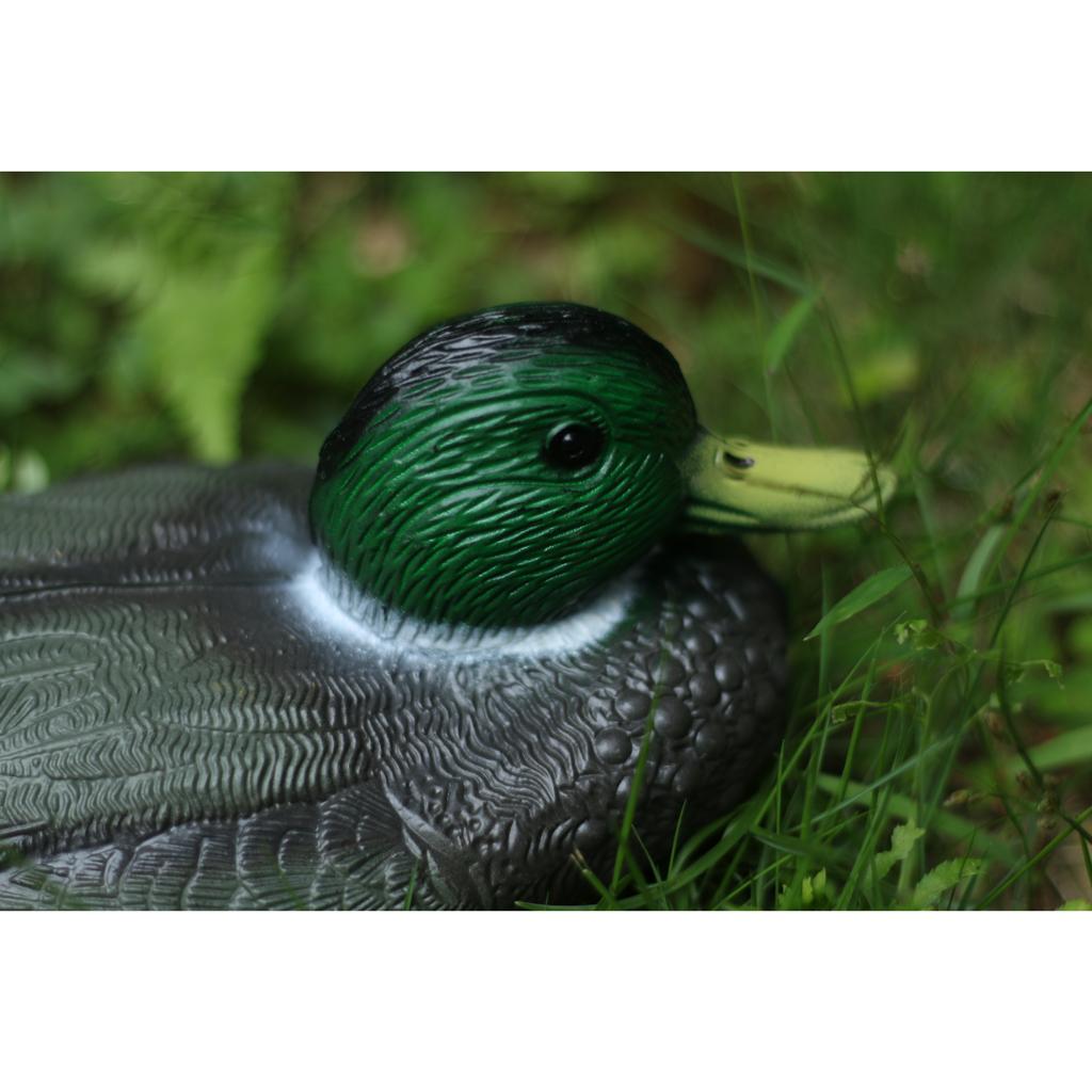 Реалистичная пластиковая утка- – обзор и цена Decoy Duck Plastic
