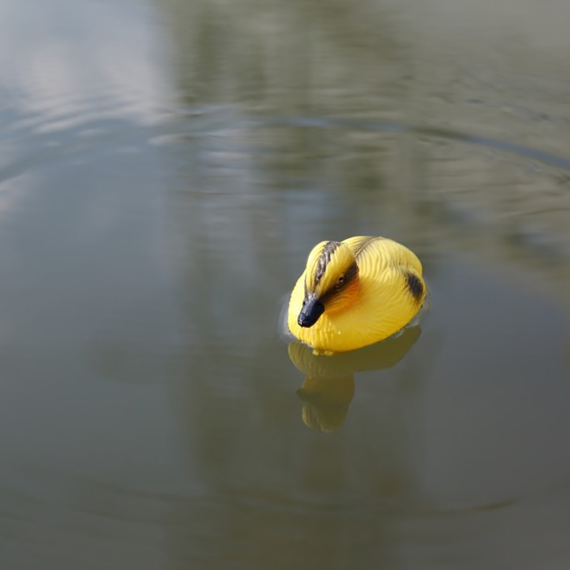 Плавающая утка, утечки, пруд,  – обзор и цена Decoy Duck Plastic